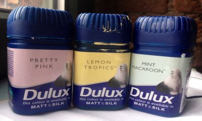 dulux paint test|dulux free samples.